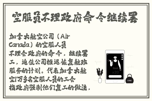 授课方式by肉馅小水饺视频
